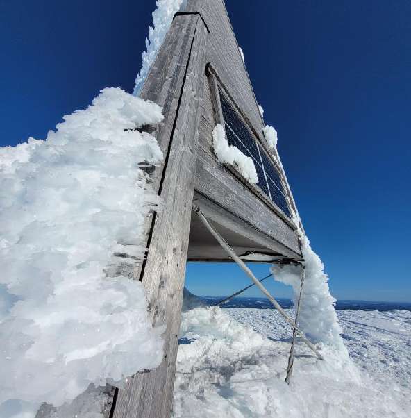 Mobilabonnemang Hem Bild
